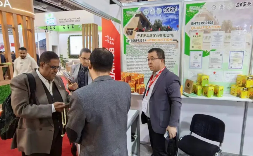 CG电子游戏(中国集团)官方网站
