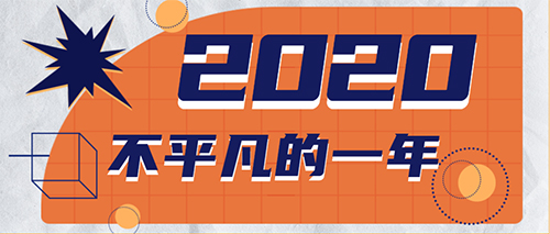 202113102028455